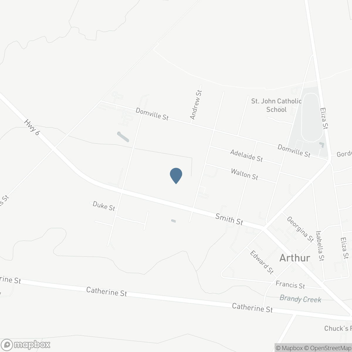 161 DINGMAN STREET, Arthur, Ontario N0G 1A0